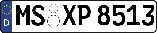 MS-XP8513