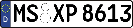 MS-XP8613