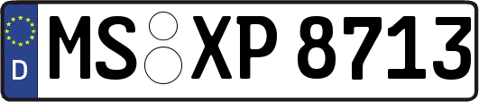 MS-XP8713