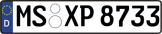 MS-XP8733