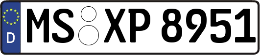 MS-XP8951