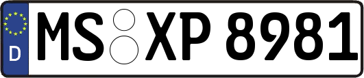 MS-XP8981