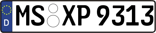 MS-XP9313