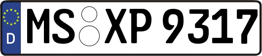 MS-XP9317