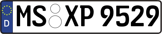 MS-XP9529
