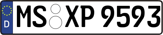 MS-XP9593
