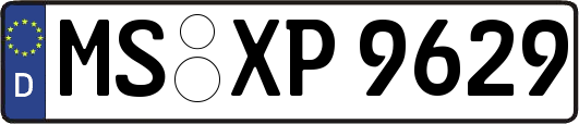 MS-XP9629