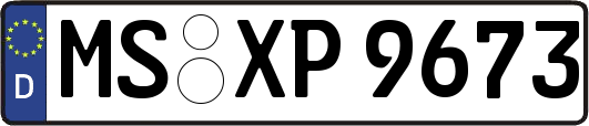 MS-XP9673