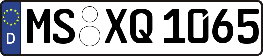 MS-XQ1065