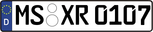 MS-XR0107