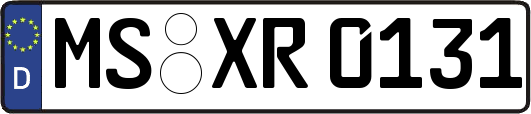 MS-XR0131