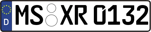 MS-XR0132