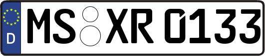 MS-XR0133