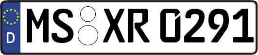 MS-XR0291