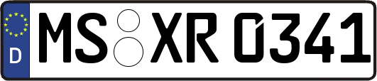 MS-XR0341