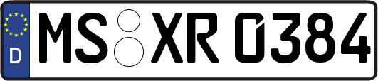 MS-XR0384