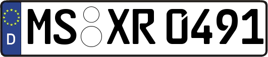 MS-XR0491