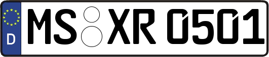 MS-XR0501
