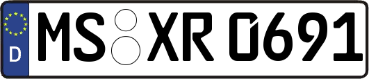 MS-XR0691