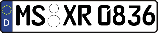 MS-XR0836