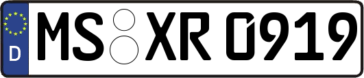 MS-XR0919
