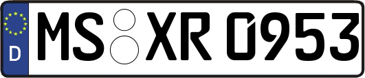 MS-XR0953