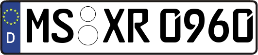 MS-XR0960