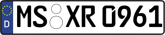 MS-XR0961