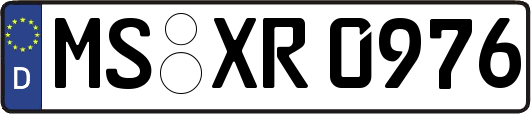 MS-XR0976