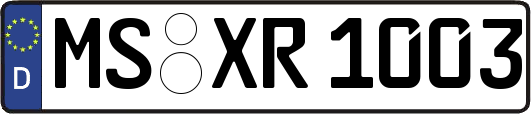 MS-XR1003