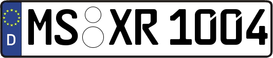 MS-XR1004