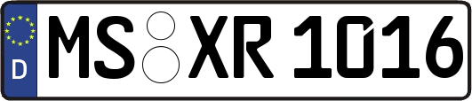 MS-XR1016