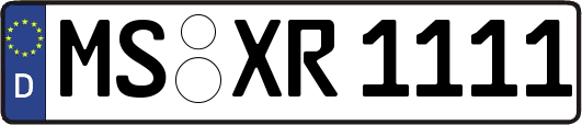 MS-XR1111