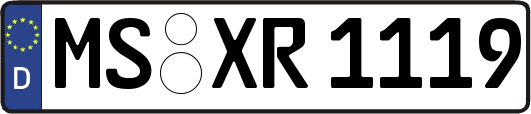 MS-XR1119