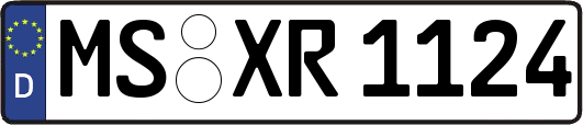 MS-XR1124