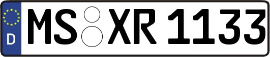 MS-XR1133