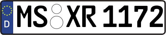 MS-XR1172