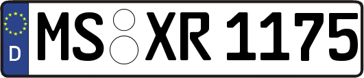 MS-XR1175