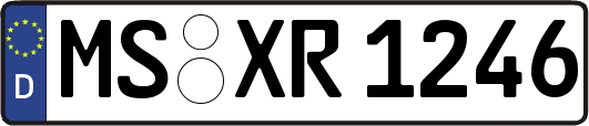 MS-XR1246