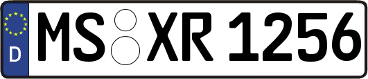 MS-XR1256