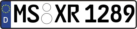 MS-XR1289