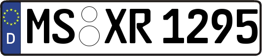 MS-XR1295