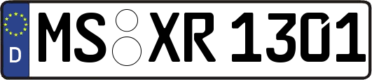 MS-XR1301