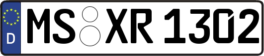 MS-XR1302