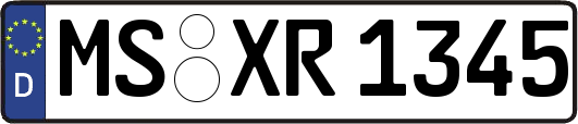 MS-XR1345