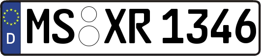 MS-XR1346