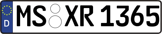 MS-XR1365