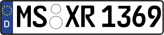 MS-XR1369