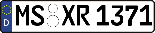 MS-XR1371