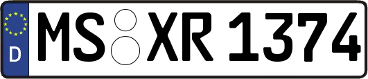 MS-XR1374